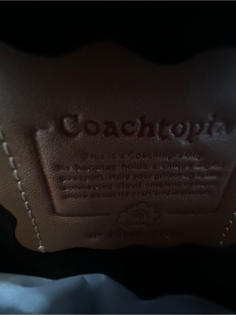 NWT COACHTOPHIA Alter/Ego Slouchy Shoulder Bag - Picture 5 of 5